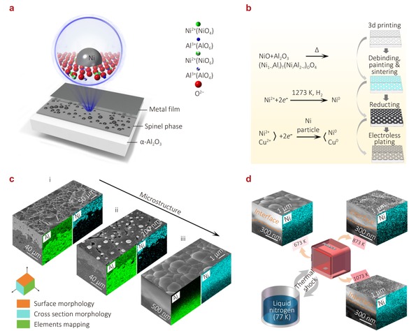 High bonding strength metal film on ceramic fabricated by the catalysis of exsolved nanoparticles combining DLP-based ceramic 3D printing